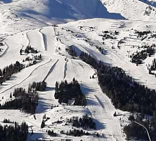 Skifahren