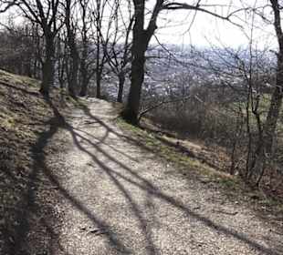 Wanderweg zur Achalm