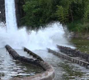 Land der Abenteuer - Dschungel X-pedition