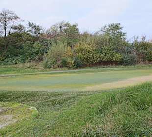 Fairway  Bahn 4