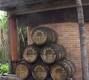 Fässer in der Rumfabrik