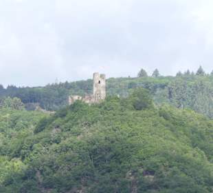 Blick auf die Burgruine