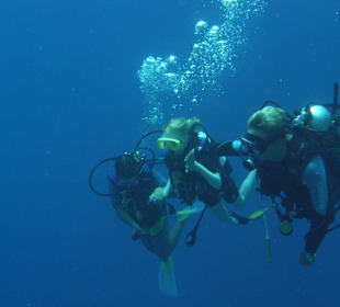 Tauchmäuse mit Lehrer