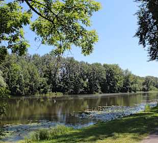 Pałac i ogród w Wilanowie