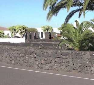 Fundacion Cesar Manrique