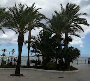 Promenade Figueretas