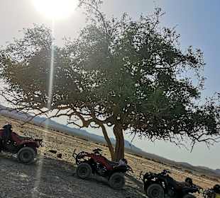Quad Tour El Quseir