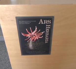 Real Jardín Botánico de Madrid