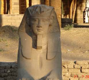 Sphinx im Luxor tempel