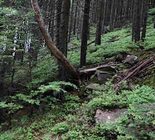 Karkonoski Park Narodowy