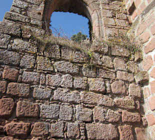 Burgruine Neuscharfeneck