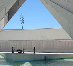 Museo del pato Combate