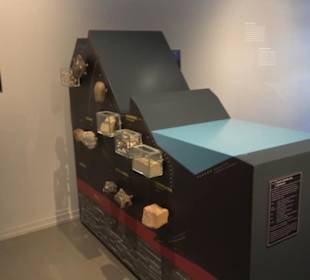 Museum für Naturkunde