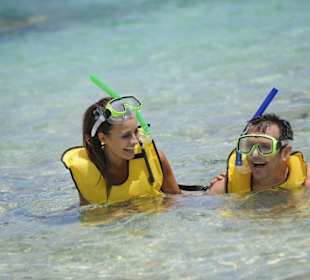 Schnorcheln