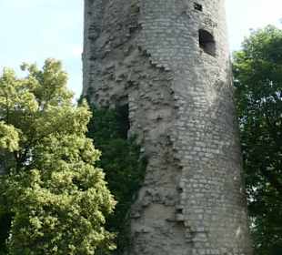 Besichtigung Ruine Burg Neuhaus