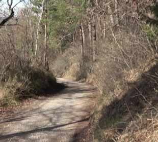 Hirschauer Spitzbergwegle (Premiumspazierwanderweg
