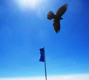 Mit Vögel