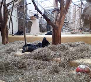 Zoo Landau in der Pfalz
