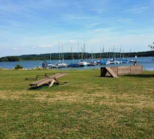 Hundebereich mit Training