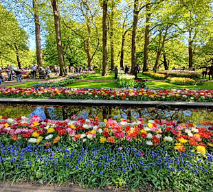 Keukenhof