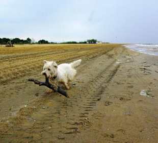 Ende September 2010 Inspirationen