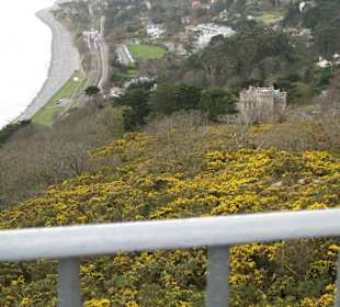 Aussicht auf die Bucht von Killiney