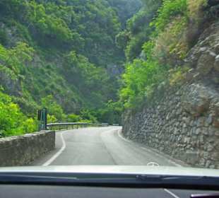 Hoffe es kommt kein Bus