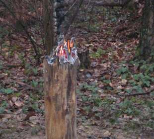 Waldbasar in Dudenhofen