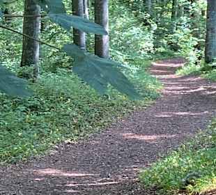 Wandern Läufelfingen