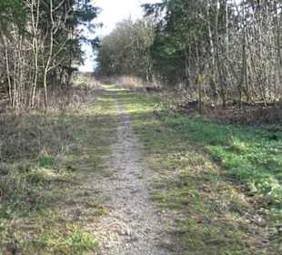 Sternberg bei Böttingen