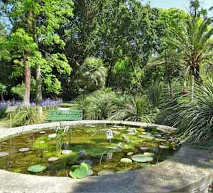 Rundgang durch den Botanischen Garten Cagliari