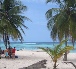 Wunderschön auf Saona