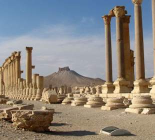 Palmyra
