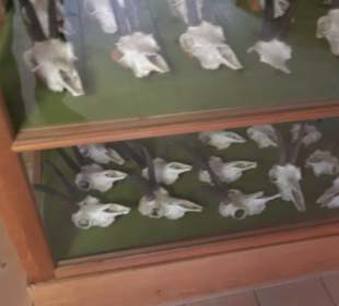 Heimatmuseum Oberstdorf