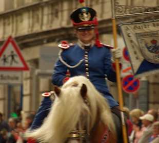 Hist.Kgl.Bayer. Bürgerwehrartillerie Wolkersdorf