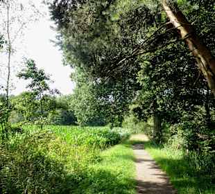 Unterwegs auf dem Huntepadd