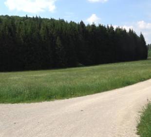 Klimaweg Sonnenalb