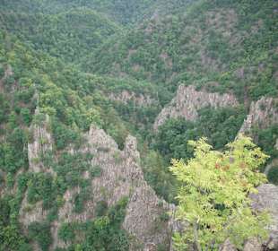 Blick ins Bodetal
