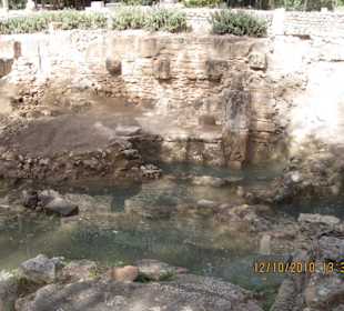 Carthago 