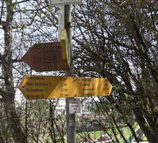 Spazierweg Ritter Museum