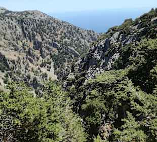 Stadtrundgang Paralia Kourna