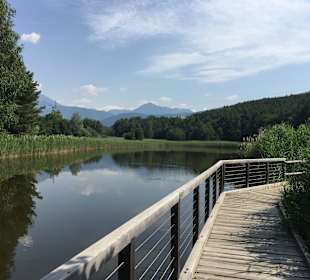 E-Mountainbike Ausflug zum See