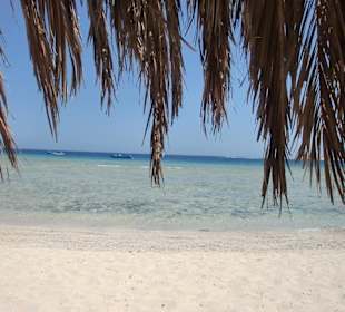 Traumstrand in Abu Dabab