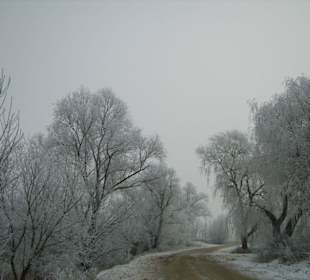 Im Wald von Väterchen Frost