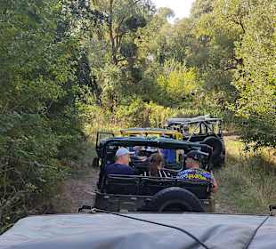 Jeep Safari Goldstrand