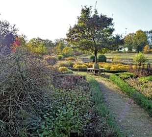 Herbststimmung im Dorfgarten Dötlingen