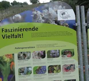 Naturinfopfad Weggental