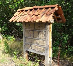 Insektenhotel am Zugang zum Arboretum 