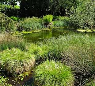 Eindrücke vom Rundgang durch den Berggarten