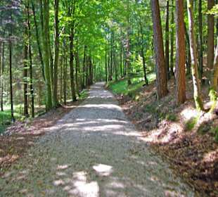 Der Therapeutische Wanderweg